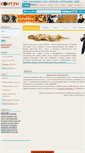 Mobile Screenshot of conten.ru